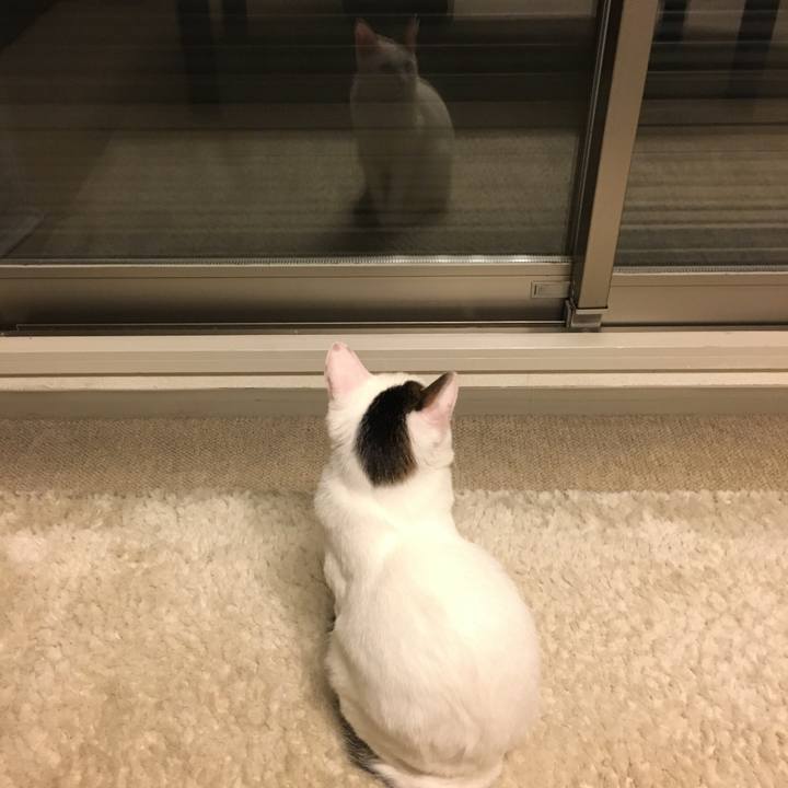 A1b9ba41 3eea 42cd a5ca d90975cc23d1