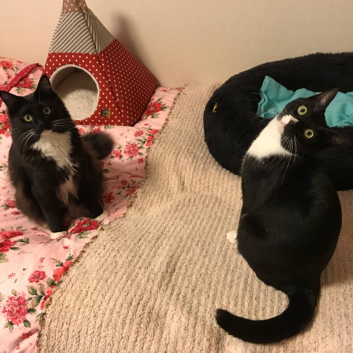 A1b9ce6f 1cdc 4f71 b4da 9e708db41019