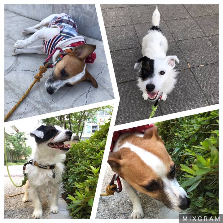 A1b9eb6e 60e1 444a bc49 6cfd072f29db