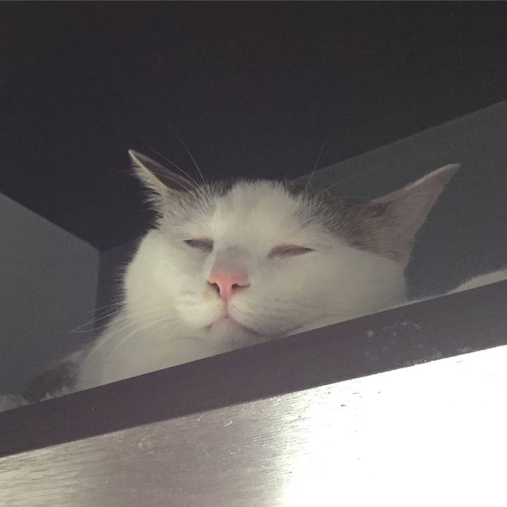 A1ba06c3 e405 47e8 be06 7e8fb054c559