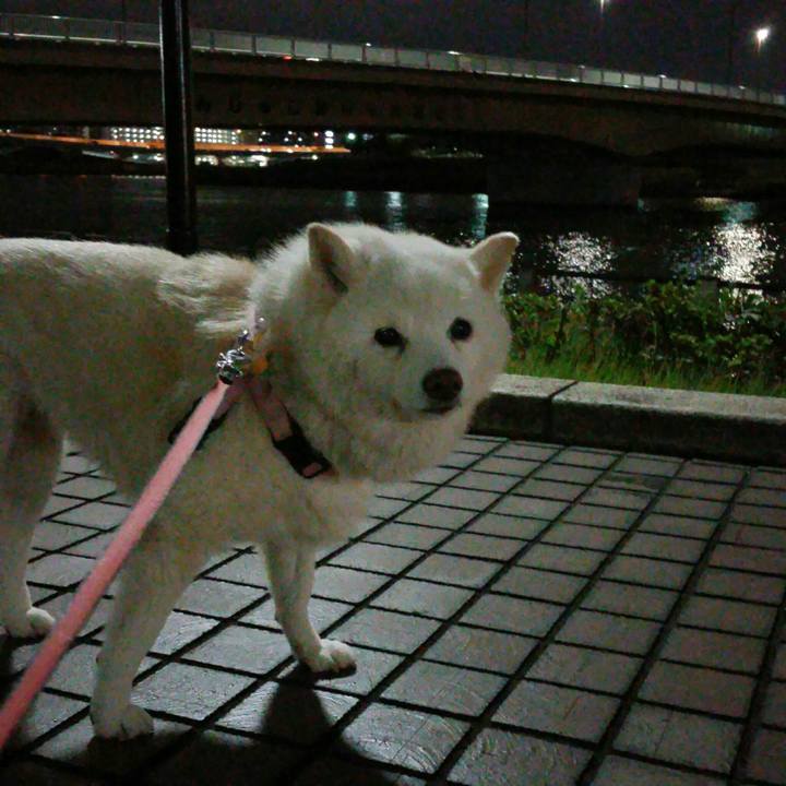 A1ba4e22 7aad 4712 bbc0 665082ca8cf5