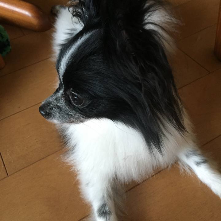 A1ba8bd0 ba5d 4cc6 9db4 58020d3aa3ad