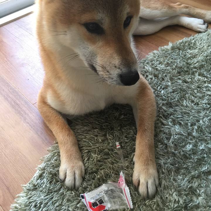 A1bafbb8 2226 465d a0e9 b337f1fd305b