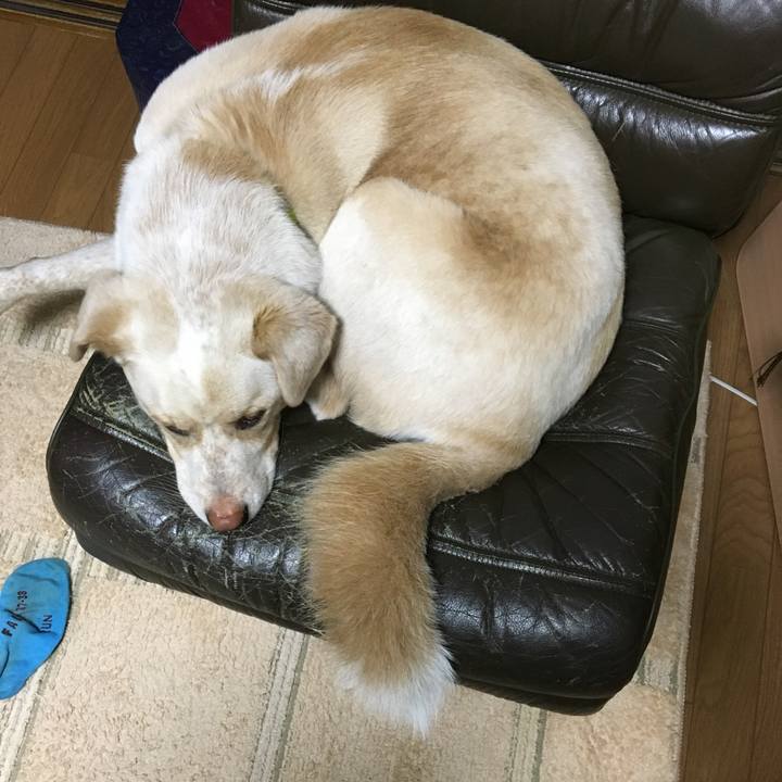 A1bb25b5 c593 46c9 bf02 5067c3dbc8c1