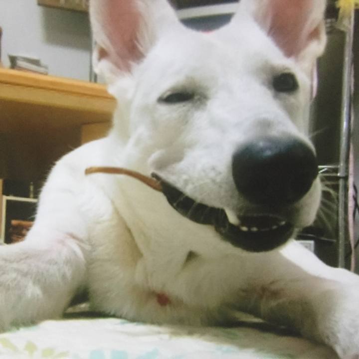 A1bb2f14 7eff 4782 8971 64b27b18b45d