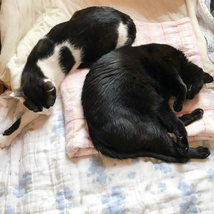 A1bb3341 1cd1 4aad a4c8 8fea62afbd0e