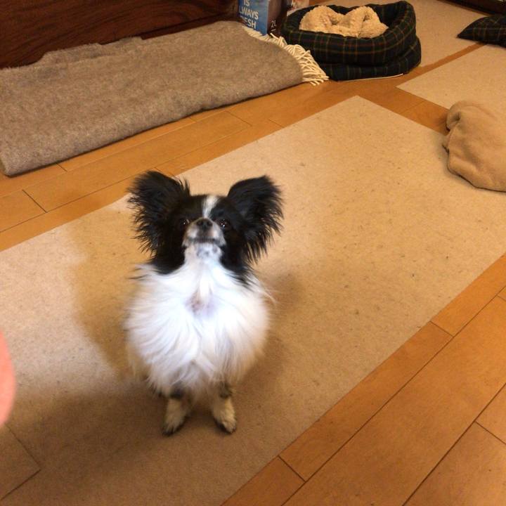 A1bb3ea6 9f12 4752 aec0 789d8354108c