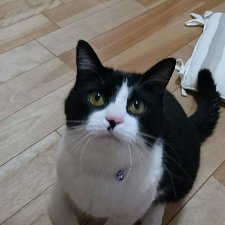 A1bc3556 af4b 4650 bdb1 18fb554143fb