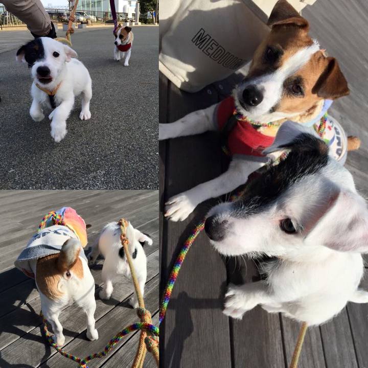 A1bc5c32 cbc1 4be5 a597 20f292825660