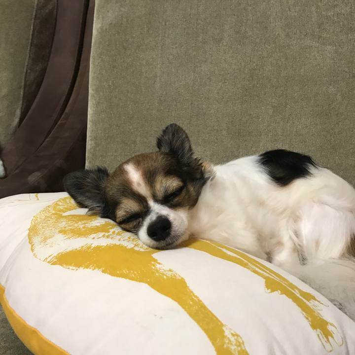 A1bcaa01 fc50 41cd a928 2d193e26972d