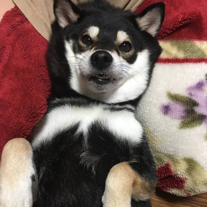 A1bcd913 db06 4f1b 8d61 f7209ca4c2de