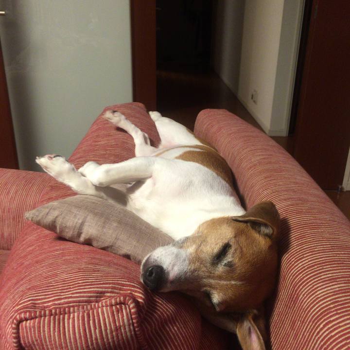 A1bd3b9c fb04 430e 8325 62dffff3226d