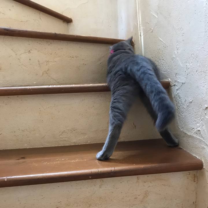 A1bd770f 2a1e 4a02 b516 3c7b9c057123