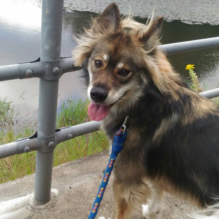 A1bd9116 43ac 4ba0 90dd 9e3d1905a65c