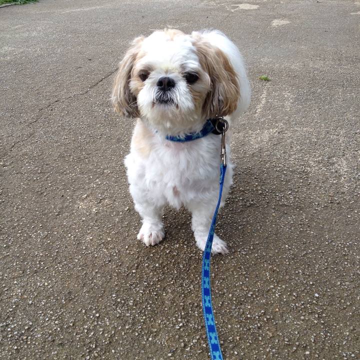 A1bdd9ad e992 4c5c 9019 5b929f0bc2ab