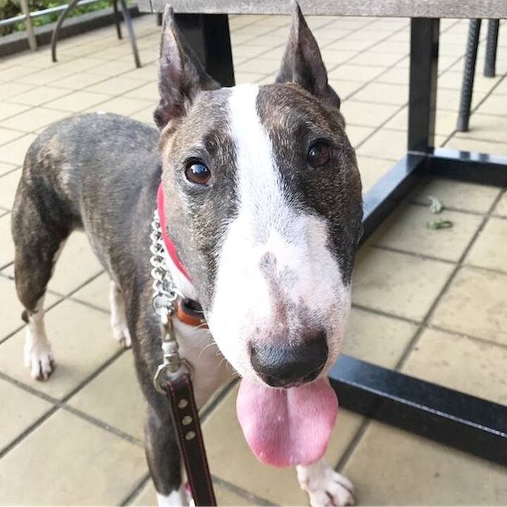 A1be67ff 0bea 41ea ad62 9ed7d504d568