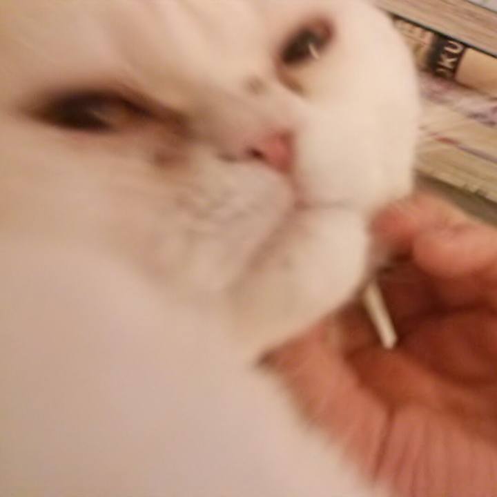 A1bee8c6 f658 45a5 9e21 a42727e51444