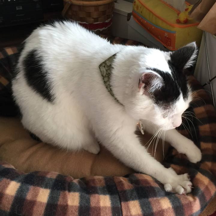 A1beee3c 061c 41ff a08e d988544bfd25