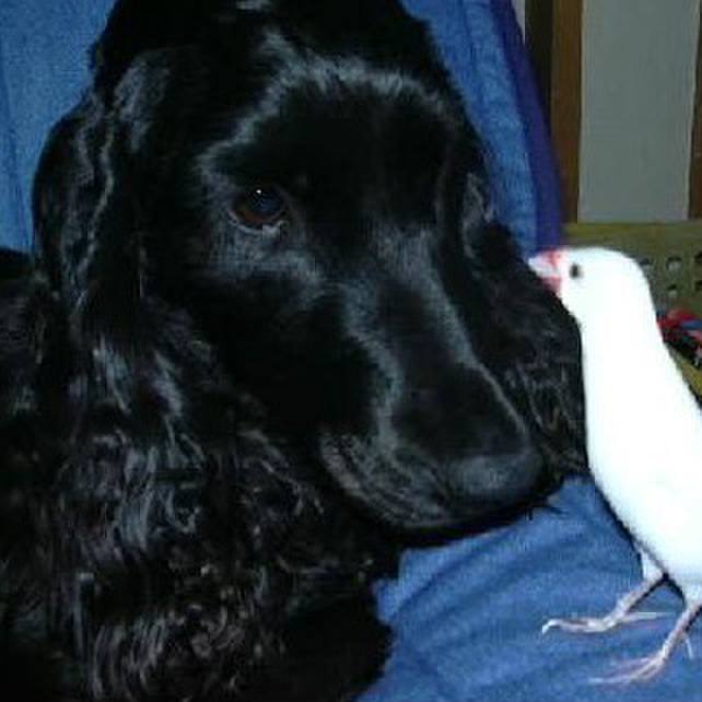 A1c08464 bed0 4f1e 950d 44e3b242054b