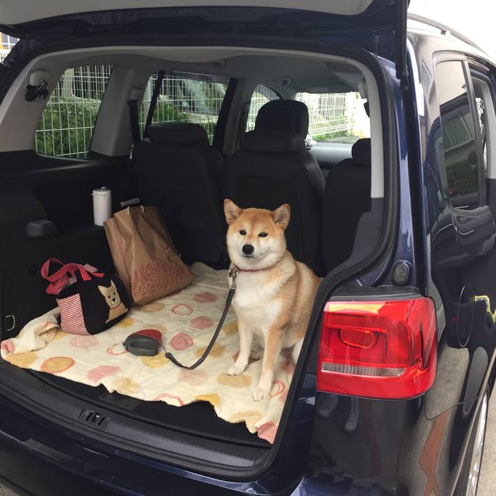 A1c09ad8 60d0 48c7 a8e7 5de92632e9eb