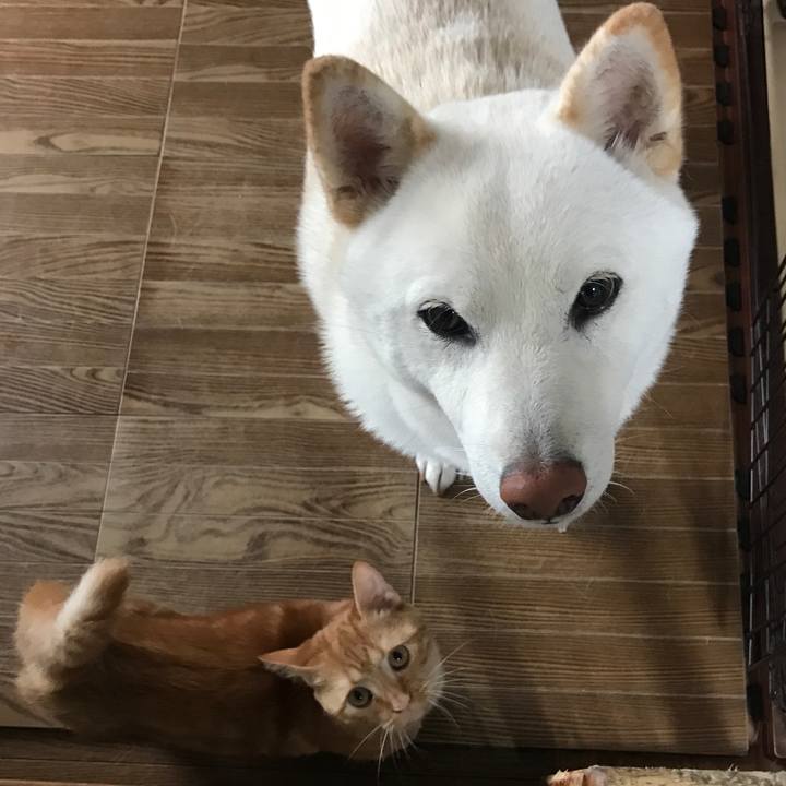 A1c0b488 c718 4edb 8440 0e5b1a030e2a