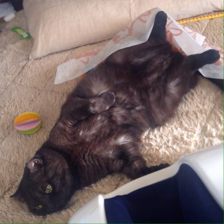 A1c0c760 edf9 4093 a06f 2f4e093eba40