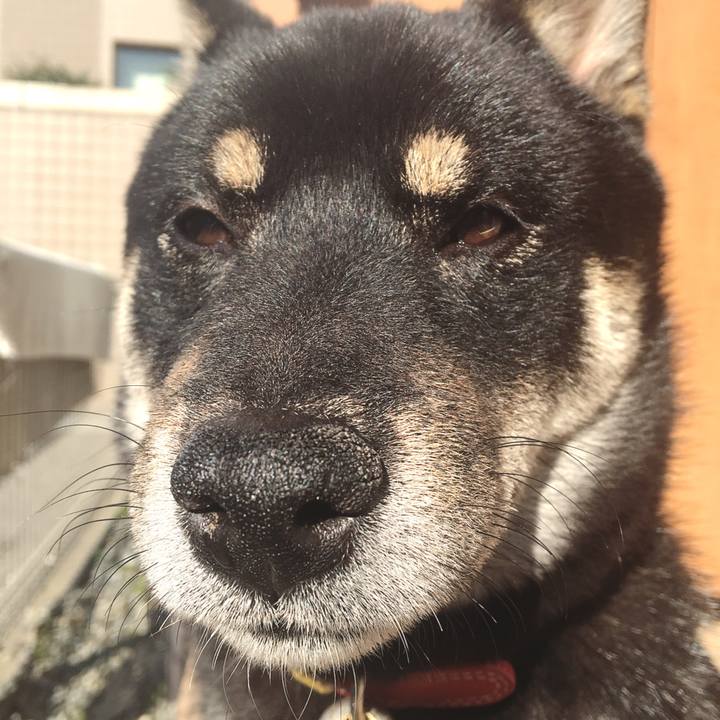 A1c1c618 f700 4a0c 80b6 489956836564