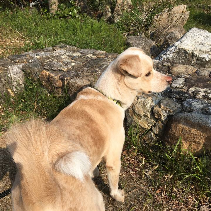 A1c206c4 740c 4f01 a612 99786239f2d3