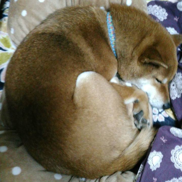 A1c20fa7 cad6 46b0 811b 1743eabc68d4