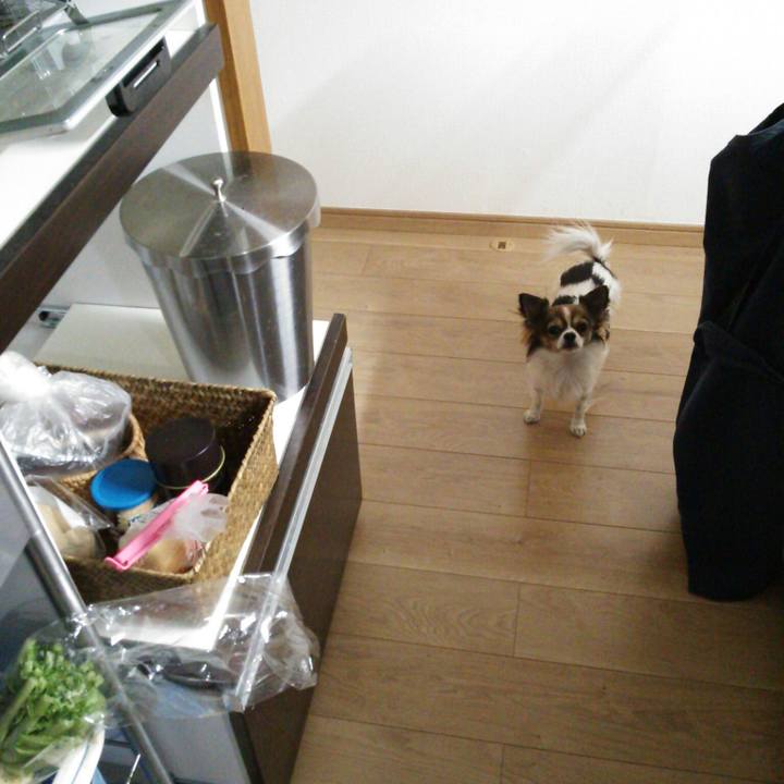 A1c28b41 fbf3 4fa6 96f0 dd5417880215