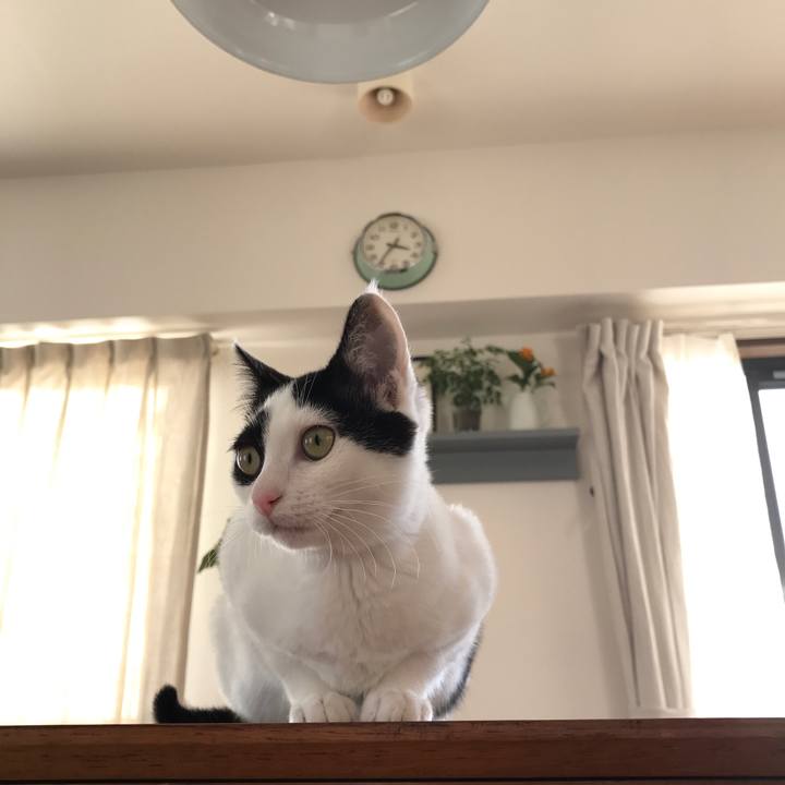 A1c2d4df c470 4c50 a558 5fffc07c635d