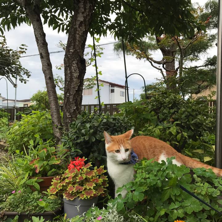 A1c41076 343a 491d 8438 4f46a71a7ebc