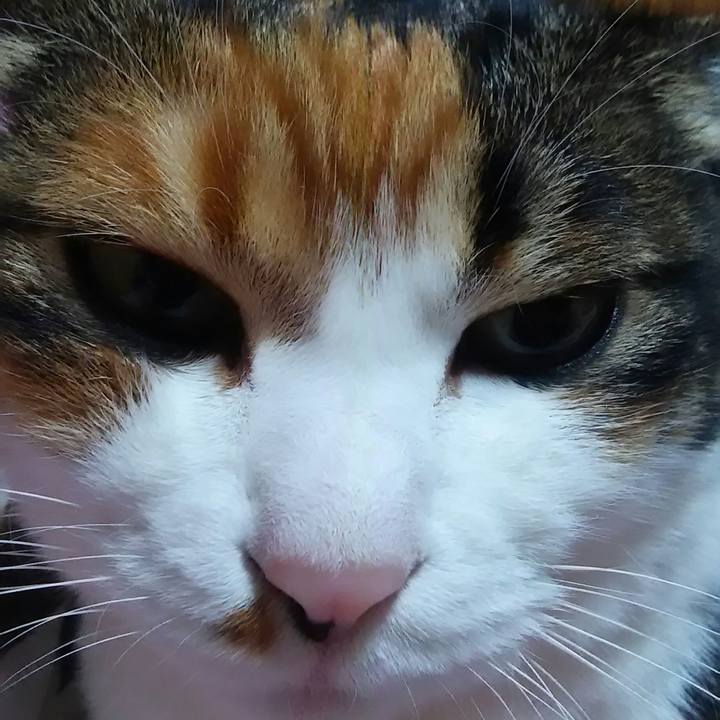 A1c42070 d2a1 420e aba8 30fecea7a5b9