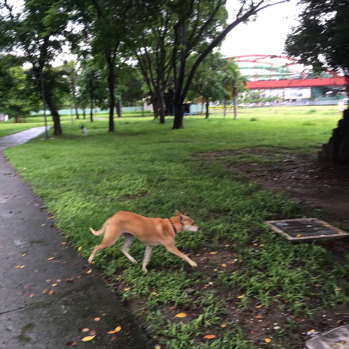 A1c4bbc6 81a8 4495 861e a8181fb229da