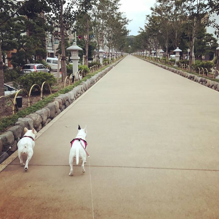 A1c4fa7a b99b 4035 8bc9 86563c81fe93