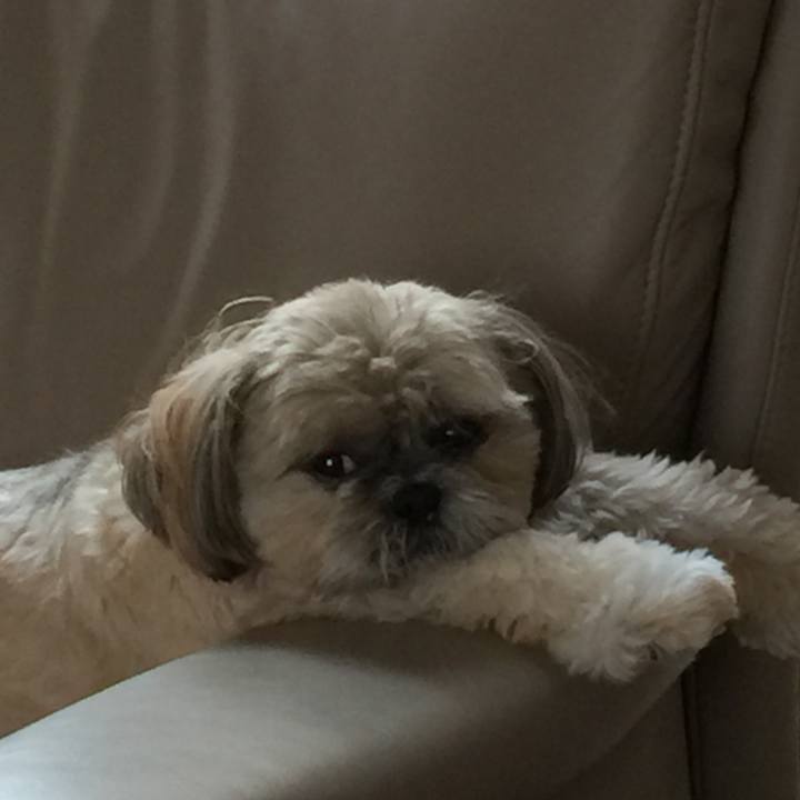 A1c5aa25 e837 4a9e abb5 6e5b7ae1ce6e