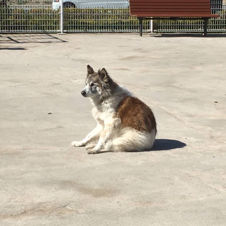 A1c63116 f4b5 4977 9efe 2b2419bb312a