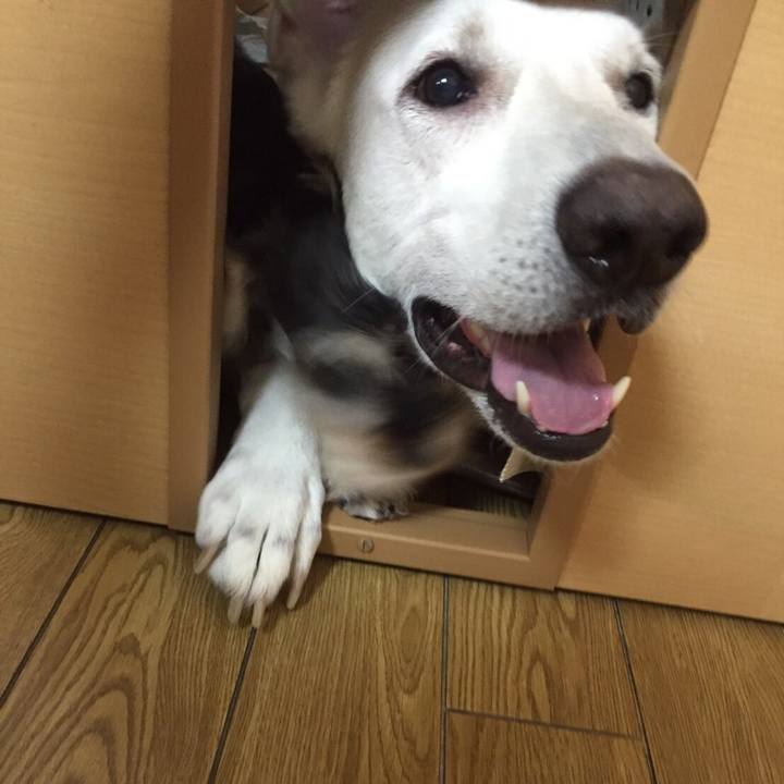 A1c66a3f 43ea 4fad 9d93 fc9c4d6b86b7