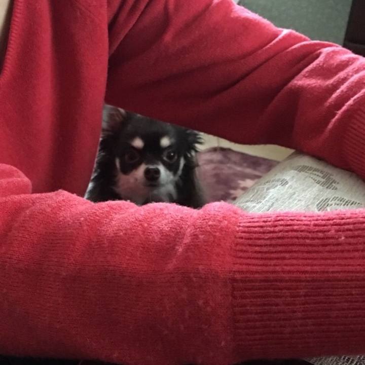 A1c67a61 9033 4af5 9095 7c55fe9a10fb