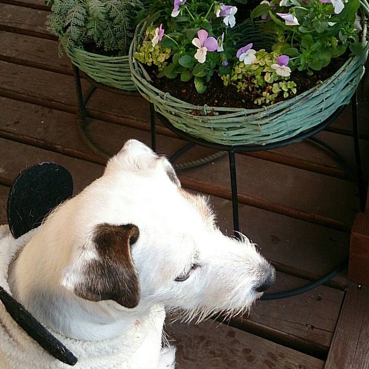 A1c6ded6 3cfe 43b8 8b60 d568fc41ec54