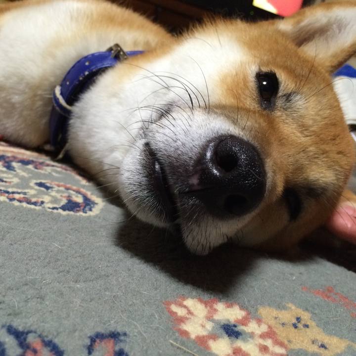 A1c6e70d 7b5f 42b2 a845 93fed3155f77