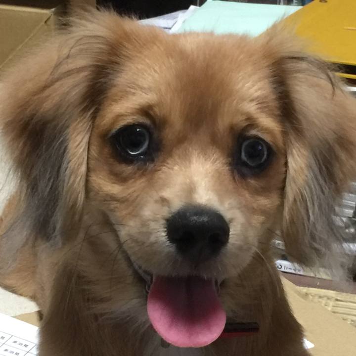 A1c762a3 0f81 4dd0 81f7 529aa9100e41