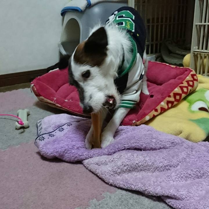 A1c76b7f f92a 40fe ad7e 81c358438354