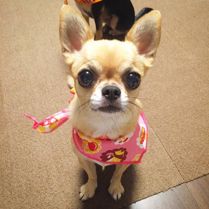 A1c7af59 ea31 436e 8ac1 6b9a33bbf516