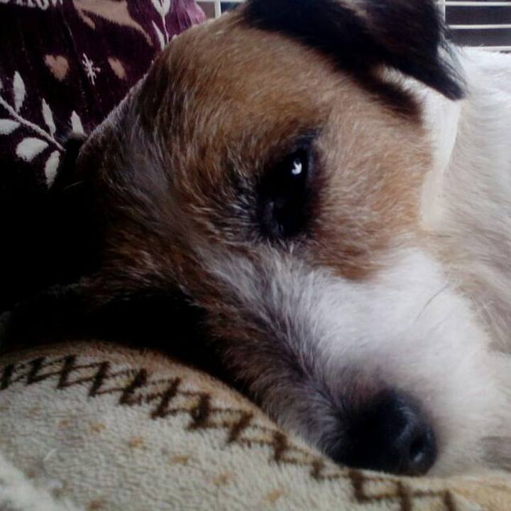 A1c7da9e 812f 41f8 bad4 3f753e331919