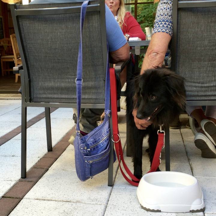 A1c857b5 33e6 49c1 9c30 7426b1a6a804