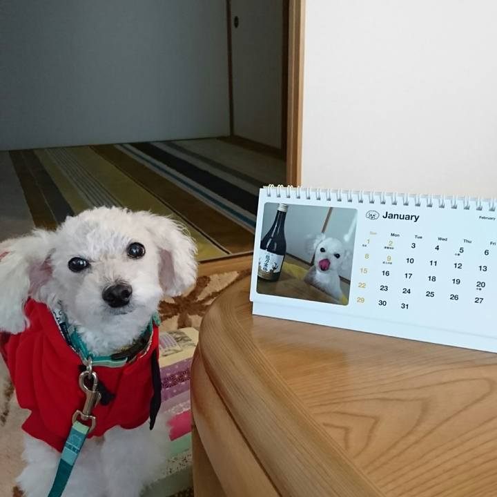 A1c95a83 8fcd 42d0 ad14 23fb04f1f975