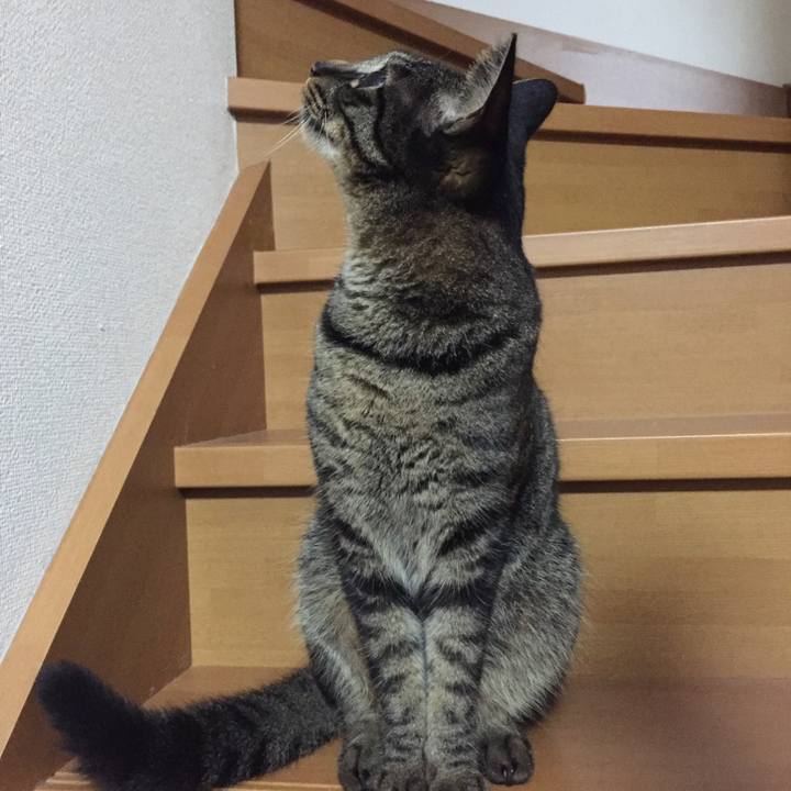 A1c9d3b5 df23 4527 af4a 6d417832a448