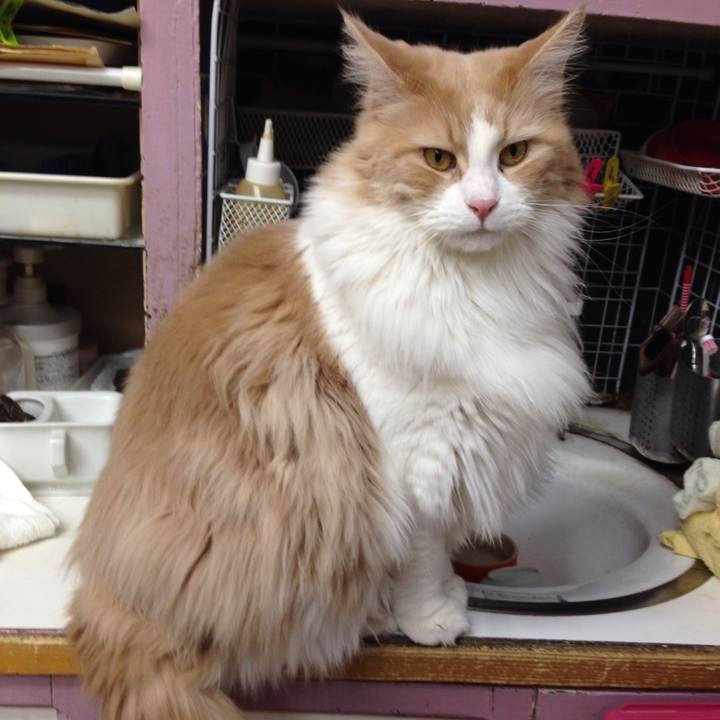 A1cac5f5 fa31 4966 a184 20f22079f7f5