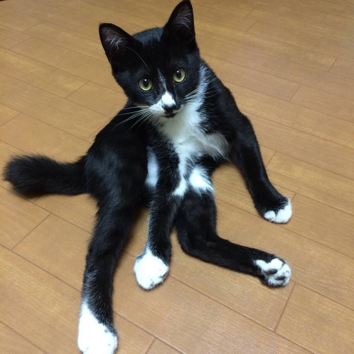 A1cae18a 7ab7 4972 8abb a8d7814ce7ac